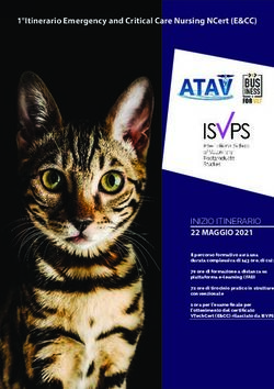 Itinerario Emergency and Critical Care Nursing NCert (E&CC)