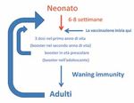 Supplemento 3 Epidemiologia, vaccinazione e strategie di prevenzione della pertosse in Italia - SIAIP