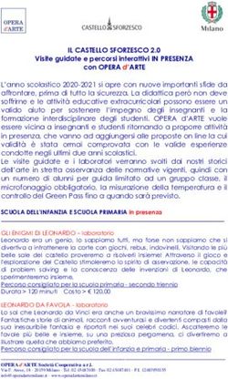 IL CASTELLO SFORZESCO 2.0 - Opera D'arte Milano