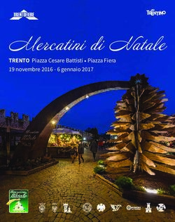 Mercatini di Natale TRENTO Piazza Cesare Battisti Piazza Fiera 19 novembre 2016 - 6 gennaio 2017 - Hotel Bellamonte