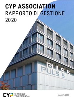 CYP ASSOCIATION RAPPORTO DI GESTIONE 2020 - cyp.chit/2020