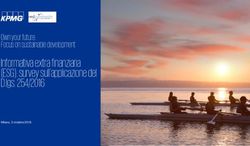 Informativa extra finanziaria (ESG): survey sull'applicazione del D.lgs. 254/2016 - Own your future: Focus on sustainable development - Nedcommunity