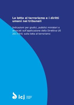 La lotta al terrorismo e i diritti umani nei tribunali - Indicazioni per giudici, pubblici ministeri e avvocati sull'applicazione della Direttiva ...