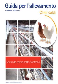Guida per l'allevamento - Climi caldi - Stress da calore sotto controllo - Ali Lohmann