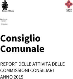 Consiglio Comunale REPORT DELLE ATTIVITÀ DELLE COMMISSIONI CONSILIARI ANNO 2015 - Iperbole