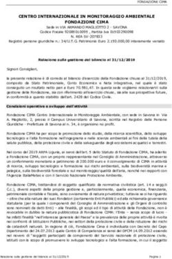 CENTRO INTERNAZIONALE IN MONITORAGGIO AMBIENTALE FONDAZIONE CIMA - CIMA Research ...