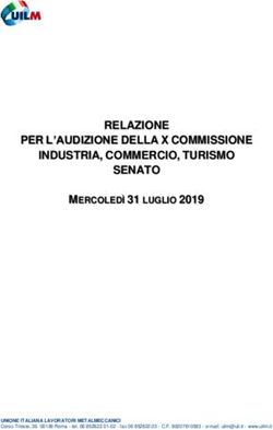 RELAZIONE PER L'AUDIZIONE DELLA X COMMISSIONE INDUSTRIA, COMMERCIO, TURISMO SENATO
