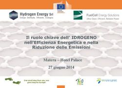 Il ruolo chiave dell' IDROGENO nell'Efficienza Energetica e nella Riduzione delle Emissioni - Matera - Hotel Palace 27 giugno 2014 - hydrogen ...