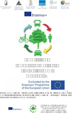 SMM - IO3 - IO3 Modulo Formativo 6 TIC per lo SMM Opuscolo