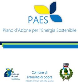 PAES Piano d'Azione per l'Energia Sostenibile - Comune di Tramonti di Sopra - Comune di ...