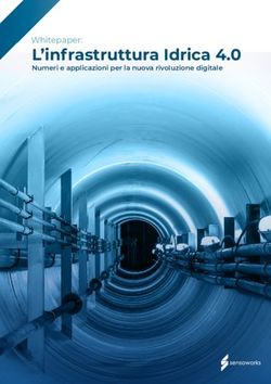 L'infrastruttura Idrica 4.0 - Whitepaper: Numeri e applicazioni per la nuova rivoluzione digitale - Sensoworks
