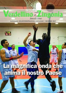 Verdellino e Zingonia - La magnifica onda che anima il nostro Paese - insieme - Comune di Verdellino