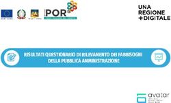 RISULTATI QUESTIONARIO DI RILEVAMENTO DEI FABBISOGNI DELLA PUBBLICA AMMINISTRAZIONE - Data Security Interpretation Risk