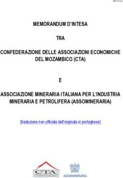 MEMORANDUM D'INTESA TRA - CONFEDERAZIONE DELLE ASSOCIAZIONI ECONOMICHE DEL MOZAMBICO (CTA) E ASSOCIAZIONE MINERARIA ITALIANA PER L'INDUSTRIA ...