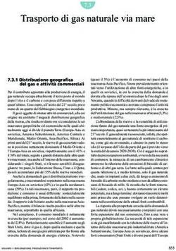 Trasporto di gas naturale via mare 7.3 - Treccani