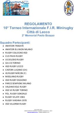 REGOLAMENTO 10 Torneo Internazionale F.I.R. Minirugby