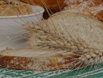 IL PANE Valore nutrizionale e intolleranze alimentari - Giulio Marchesini Dipartimento di Scienze Mediche e Chirurgiche - UNIBO - Moked