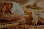 IL PANE Valore nutrizionale e intolleranze alimentari - Giulio Marchesini Dipartimento di Scienze Mediche e Chirurgiche - UNIBO - Moked