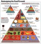 IL PANE Valore nutrizionale e intolleranze alimentari - Giulio Marchesini Dipartimento di Scienze Mediche e Chirurgiche - UNIBO - Moked