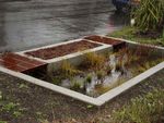 Cernusco sul Naviglio - Linee guida per la progettazione Campo dell'adeguamento a7_56