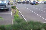 Cernusco sul Naviglio - Linee guida per la progettazione Campo dell'adeguamento a7_56