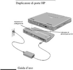 Duplicatore di porte HP - Guida d'uso