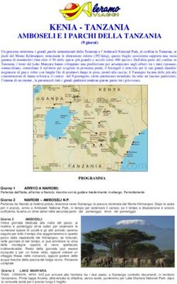 KENIA - TANZANIA AMBOSELI E I PARCHI DELLA TANZANIA - Aleramo Viaggi
