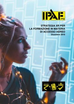 STRATEGIA XR PER LA FORMAZIONE IN MATERIA DI ACCESSO AEREO - Dicembre 2018