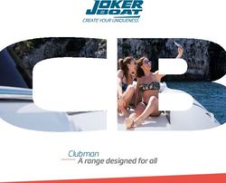 Clubman A range designed for all - Joker Boat