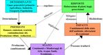 PIANO ENERGETICO REGIONALE - (PER Lazio) Norme Tecniche di Attuazione Direzione Regionale Infrastrutture e Mobilit&agrave; - Regione Lazio