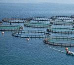 COM'È PROFONDO IL MARE - Coop consumatori