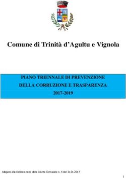 Comune di Trinità d'Agultu e Vignola - PIANO TRIENNALE DI PREVENZIONE DELLA CORRUZIONE E TRASPARENZA 2017-2019