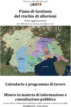 Piano di Gestione del rischio di alluvioni - alpiorientali