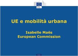 UE e mobilità urbana Isabelle Maës European Commission - Provincia di Torino