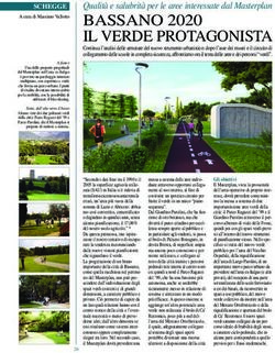 IL VERDE PROTAGONISTA - Qualit&agrave; e salubrit&agrave; per le aree interessate dal Masterplan - bassano2020.it