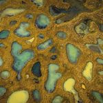 WORLD WIDE HAIR TOUR REYKJAV&Iacute;K 5 - 9 MAGGIO 2019 - Solo Per Parrucchieri