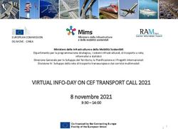 VIRTUAL INFO-DAY ON CEF TRANSPORT CALL 2021 - MIT