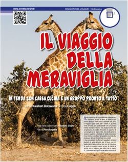 Il viaggio della meraviglia - In tenda con cassa cucina e un gruppo pronto a tutto - Viaggi ...