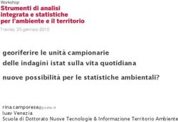 Georiferire le unità campionarie delle indagini istat sulla vita quotidiana nuove possibilità per le statistiche ambientali?