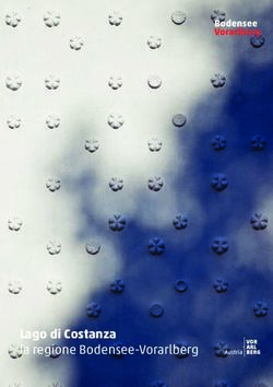 Lago di Costanza la regione Bodensee-Vorarlberg - Sedimuro Travel