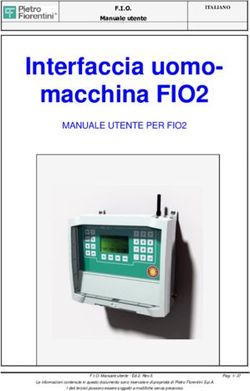 Interfaccia uomo-macchina FIO2 - MANUALE UTENTE PER FIO2 - Pietro Fiorentini