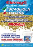15-18 Novembre 2018 33 MOSTRA DI ORNITOLOGIA - FELLETTE DI ROMANO D'EZZ. (VI) VIA NARDI, 82 - Jimdo