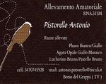15-18 Novembre 2018 33 MOSTRA DI ORNITOLOGIA - FELLETTE DI ROMANO D'EZZ. (VI) VIA NARDI, 82 - Jimdo