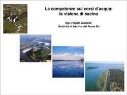 Le competenze sui corsi d'acqua: la visione di bacino - Ing. Filippo Dadone Autorità di bacino del fiume Po