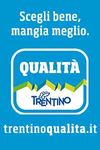 Rassegna del 08/08/2021 - WEB - Trentino Volley