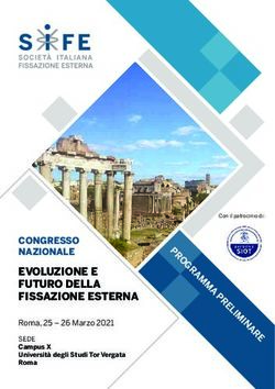 EVOLUZIONE E FUTURO DELLA FISSAZIONE ESTERNA - CONGRESSO NAZIONALE Roma, 25 - 26 Marzo 2021 - sifeitalia