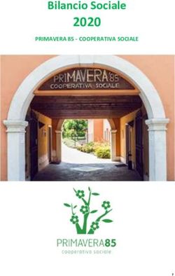 2020 Bilancio Sociale - PRIMAVERA 85 - COOPERATIVA SOCIALE