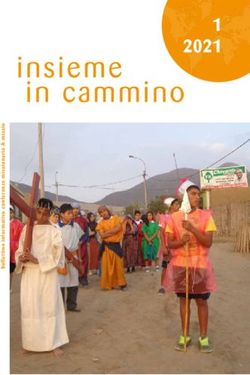 Insieme in cammino 1 22021 - Conferenza Missionaria