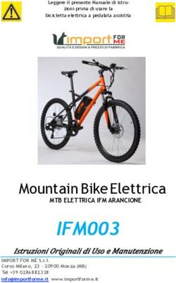 IFM003 Mountain Bike Elettrica