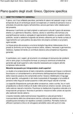 Piano quadro degli studi: Greco, Opzione specifica